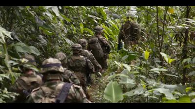 The Colombian army, - The Business of Drugs