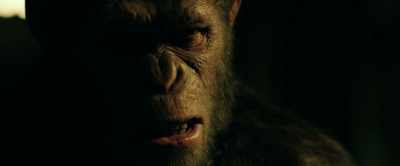 The Colonel is going to
meet them at the border. - War for the Planet of the Apes