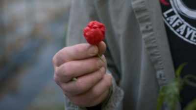 The combination together, you know, - Superhot: The Spicy World of Pepper People
