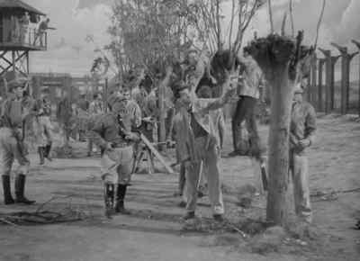 "The commandant was
carrying out his promise." - The Seventh Cross