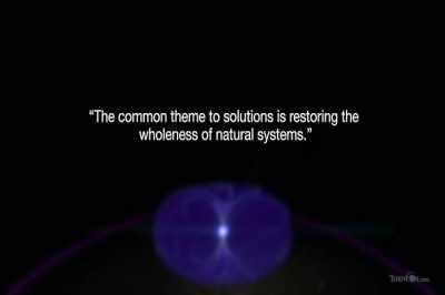 The common theme
to all of these solutions - Thrive II: This Is What It Takes