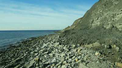 The commonest fossils here are
coiled shells called ammonites - Attenborough and the Sea Dragon