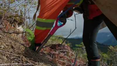 The company celebrated - Trees and Other Entanglements