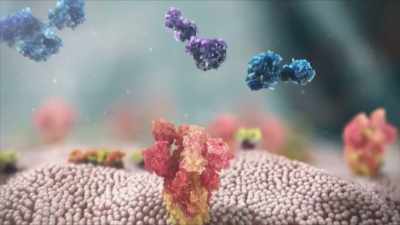 The company is
built on the premise - The Vaccine: Conquering COVID