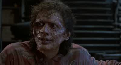 The computer got confused. - The Fly