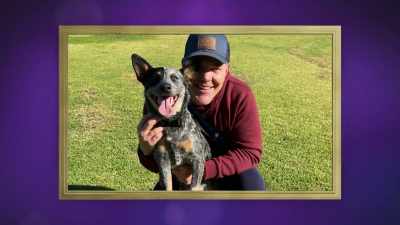 The connection and the love
from rescuing a dog, - 2022 American Rescue Dog Show