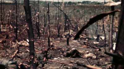 THE CONSTANT CLATTER
OF AUTOMATIC WEAPONS... - The Pacific War in Color