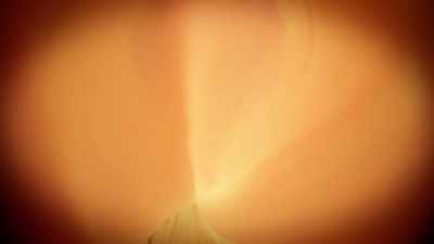 The contractions continue
with all the consequences, - The Way of the Psychonaut