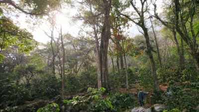 The cooler temperatures
up here - Eva Longoria: Searching for Mexico