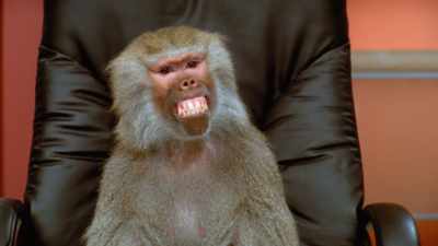The correct pronunciation
is "pih-ruh-luk-see-uh." - Absurd Planet