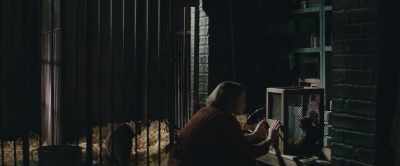 The country's completely overrun. - The Zookeeper's Wife