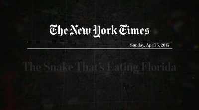 The cousin of the retic, the
Burmese python, is invasive. - Kings of Pain