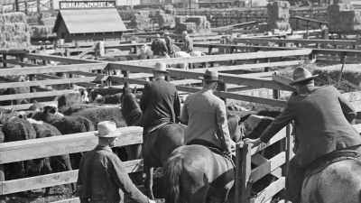 The cowboy fashion design
had nothing to do with them. - Jews of the Wild West