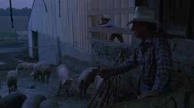 The cows are out. - The Day After
