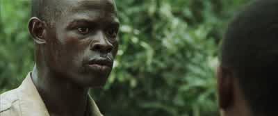 The cows wait for you. - Blood Diamond
