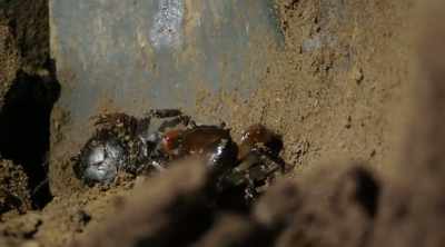 ‐ The crabs may be hiding
in an underground opening, - Lost Gold of World War II