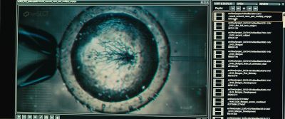 The creation of synthetic DNA - Morgan