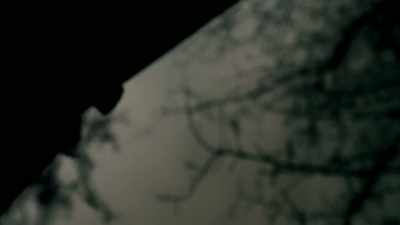 THE CREATURE THEN RUNS
INTO THE WOODS. - Expedition Mungo