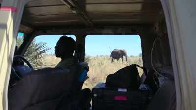 The crew draw
on their decades of experience - In the Footsteps of Elephant