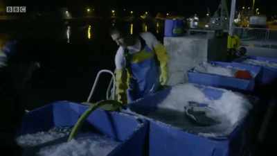 The crew of the Lyonesse
will be unloading - Cornwall: This Fishing Life