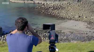The crew had the perfect conditions - Wales: Land of the Wild