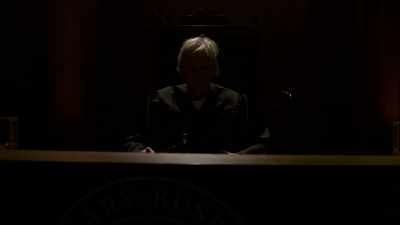 The crimes are real,
the justice is real-er. - Gary Busey: Pet Judge