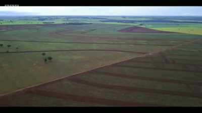 The critical thing is that there is
now enough land that's already - Extinction: The Facts