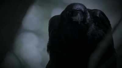 The crow is a very
important symbol - The Holzer Files