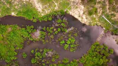 The dam holds back a river,
creating a lake. - The Secret Lives of Animals