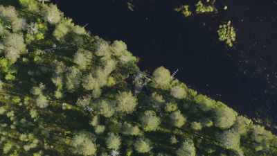The dam will also stop their supplies
from washing downstream. - Wild Nordic