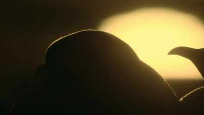 The days are becoming shorter
and colder. - Dynasties