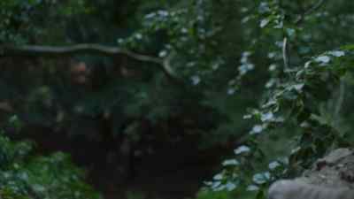 The Dead Man has woken. - Britannia