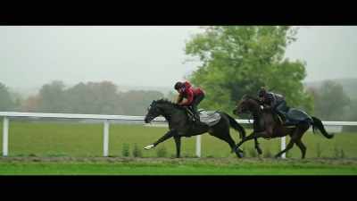 The deep girth,
so much space for oxygen. - Horsepower