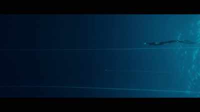 The deeper I'm diving, - The Deepest Breath