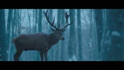 The deer are them
in their dreams, - The Story of Film: A New Generation