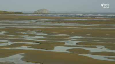 The defences that line this coast
were vitally important, - Scotland from the Sky