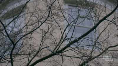 - The deputies did a cursory - Mastermind of Murder