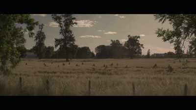 The details, Amanda. - Fever Dream