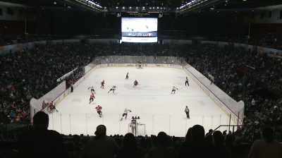 The difference between
the AHL and the NHL, - Ice Guardians