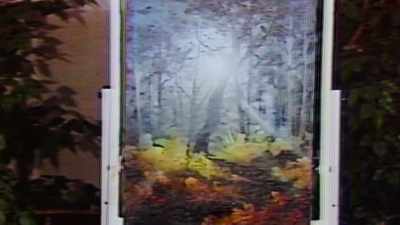 The difference,
probably, is the signature, - Bob Ross: Happy Accidents, Betrayal & Greed