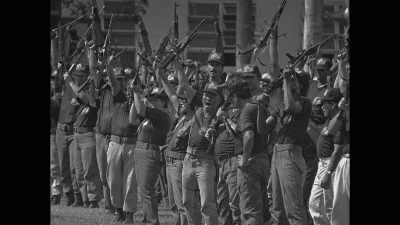 The Dignity Battalions were the expression - Spy Ops