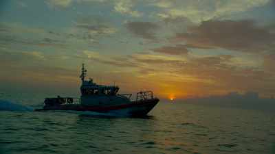 The diver is identified
as 37-year-old Robert Stewart - Sharkwater Extinction