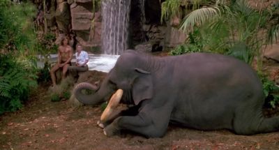 The dog bone is too much - George of the Jungle