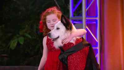 THE DOG JUST DANCED THE TANGO,
AND NO ONE IS QUESTIONING IT? - Dog with a Blog