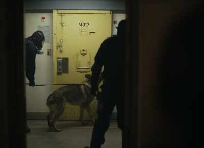 The dog is marking 017. Prepare. - Sons