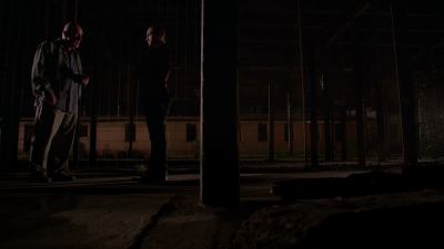 The Dolphins play football. - Better Call Saul