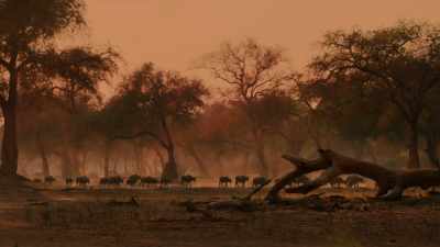 The dry season turns to drought. - Dynasties