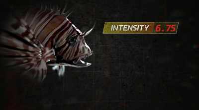 - The duration was the main
factor of this sting. - Kings of Pain