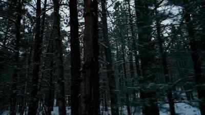 The dynamics started
changing in the family. - Six Schizophrenic Brothers