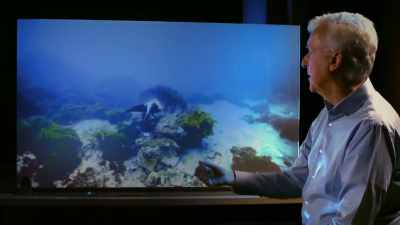 The eagle ray. It says, "Here.'' - Secrets of the Whales